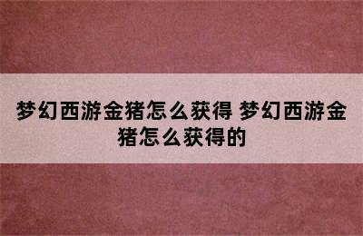 梦幻西游金猪怎么获得 梦幻西游金猪怎么获得的